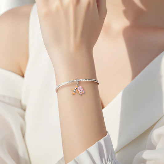 Charm de avión + equipaje